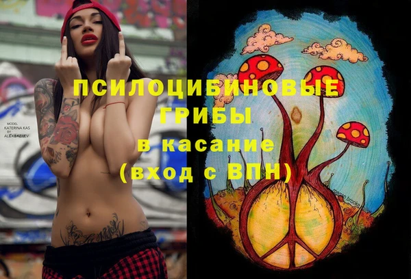 jwh Аркадак