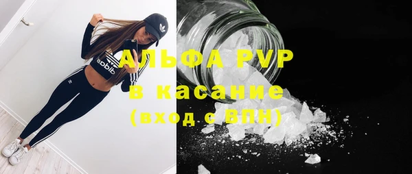 прущие грибы Алексеевка