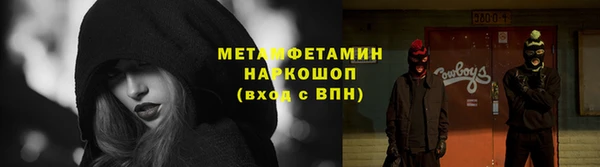 прущие грибы Алексеевка