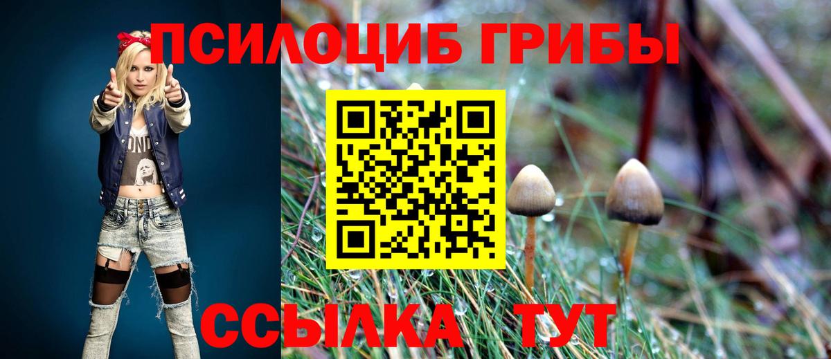 Псилоцибиновые грибы GOLDEN TEACHER Мытищи